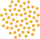 VP_2